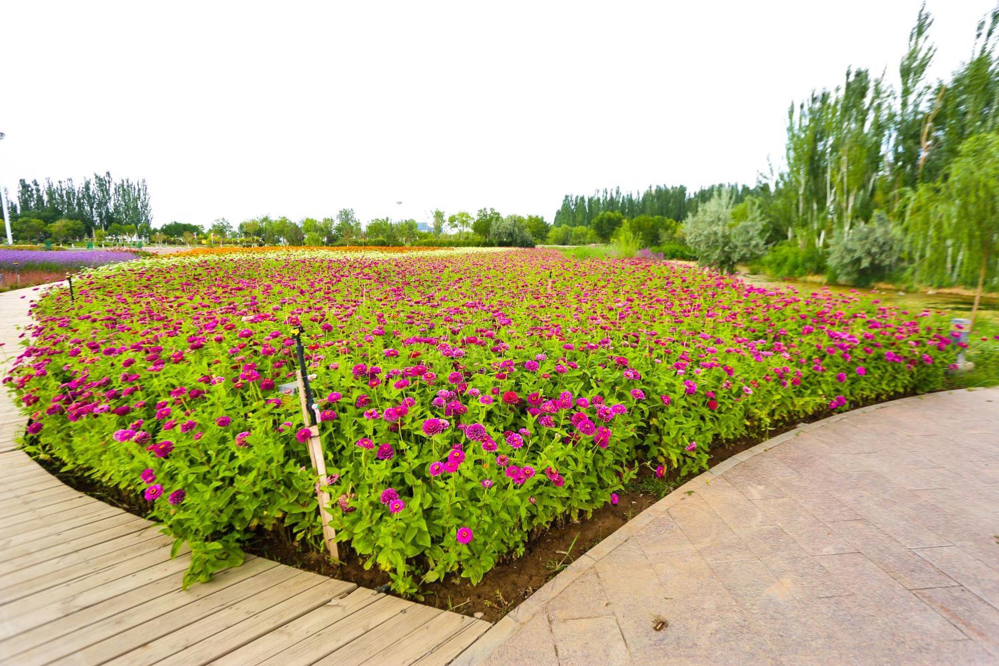 Primus Hotel Ngân Xuyên Ngoại thất bức ảnh
